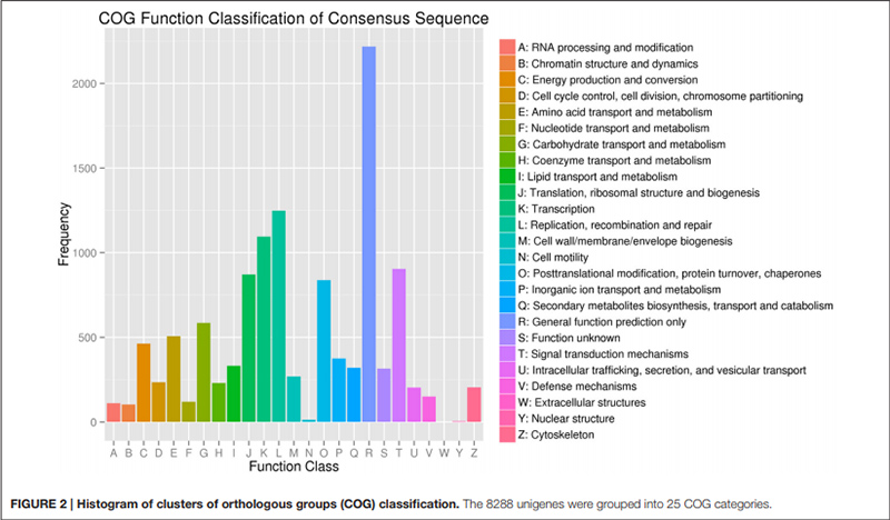 PB-pilna garuma-RNS-sekvences-gadījuma izpēte