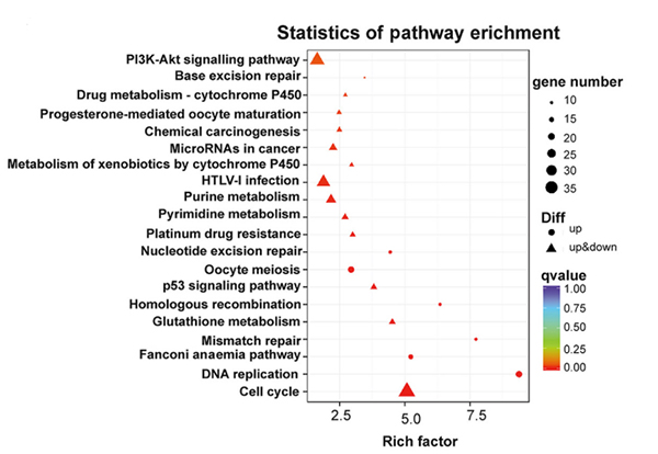 PB-full-length-RNA-Sequencing-case-study