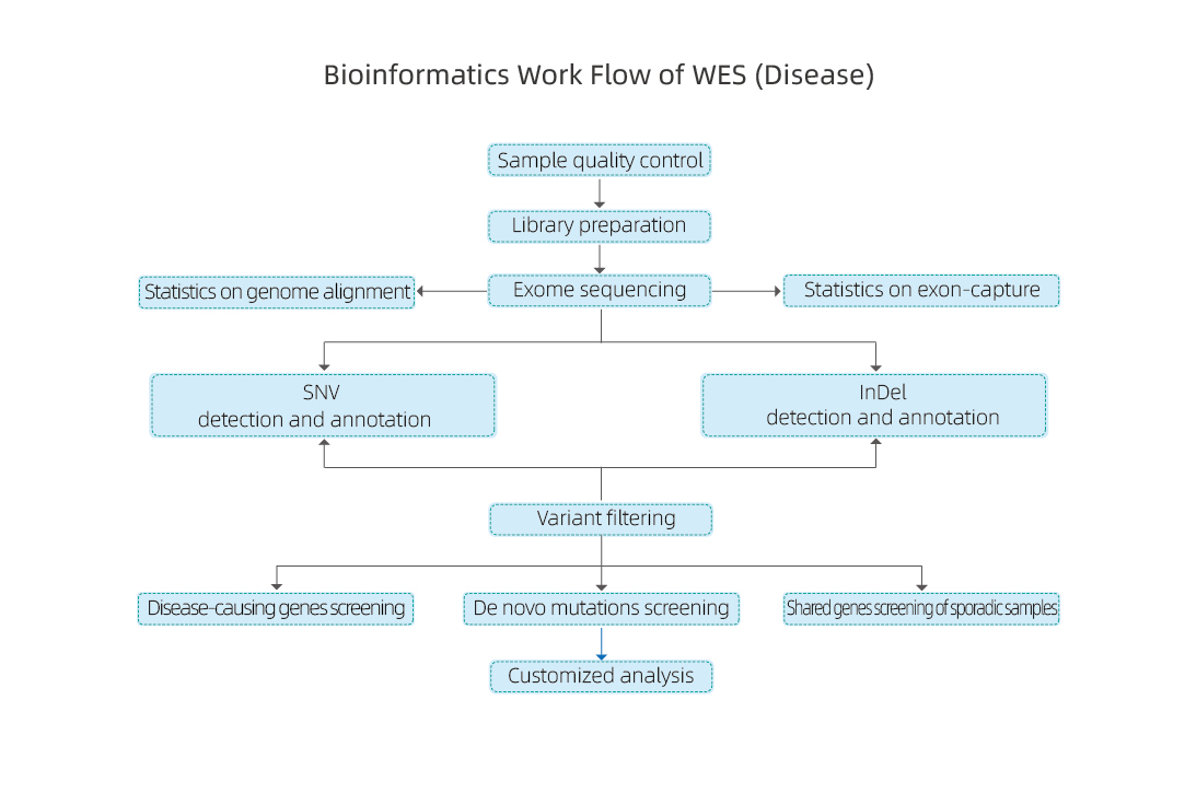 WES_BI work flow_Disease-01