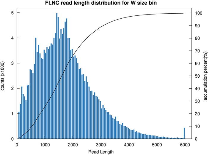mRNS-FLNC-lasīšanas garuma sadalījums