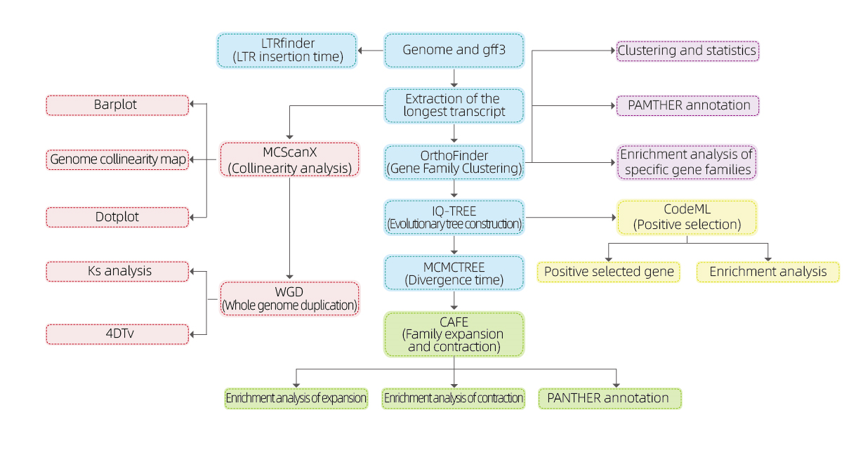 流程图Salīdzinošā genomika
